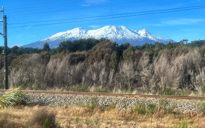 It’s nearly Winter in the Southern Hemisphere